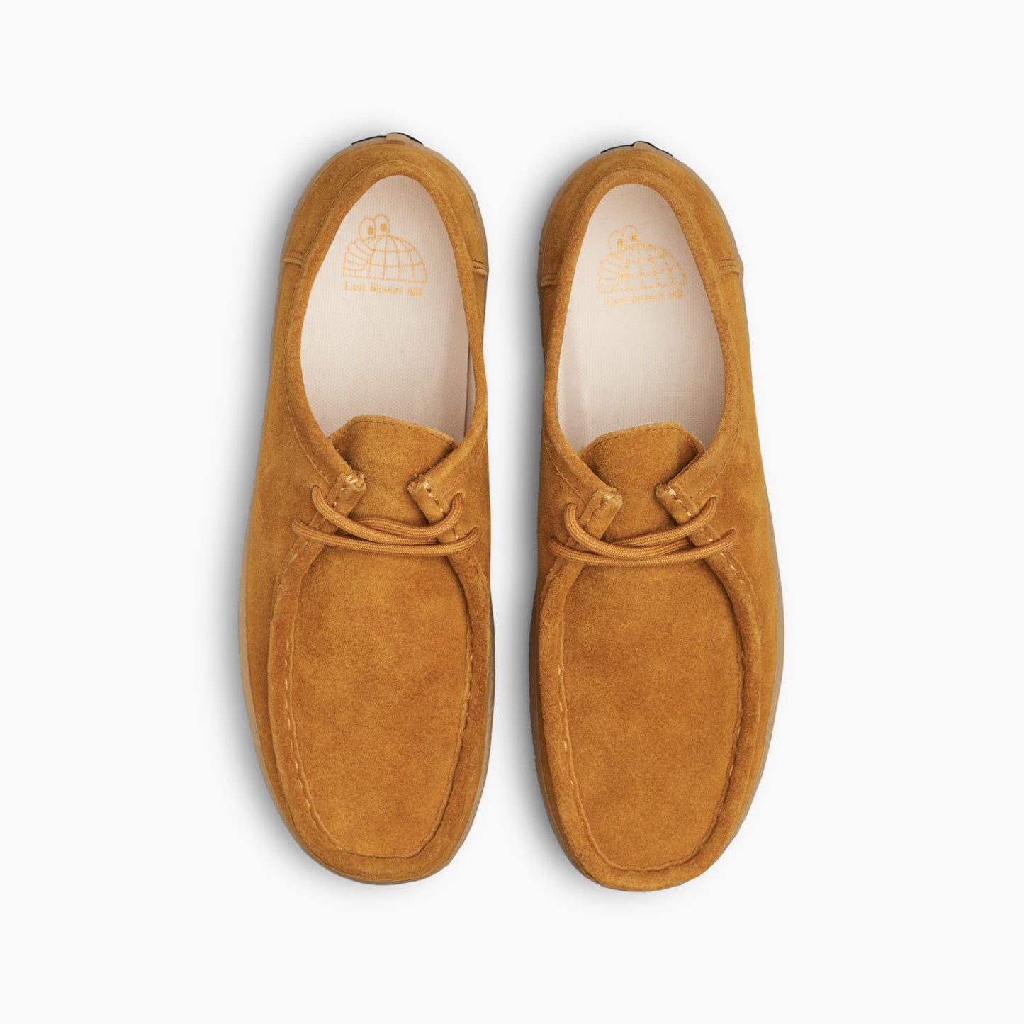 VM006 Moc Lo - Golden Brown / Gum