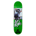 Benny S43 Deck