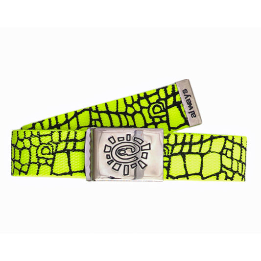 @Sun Skate Belt - Croc Volt