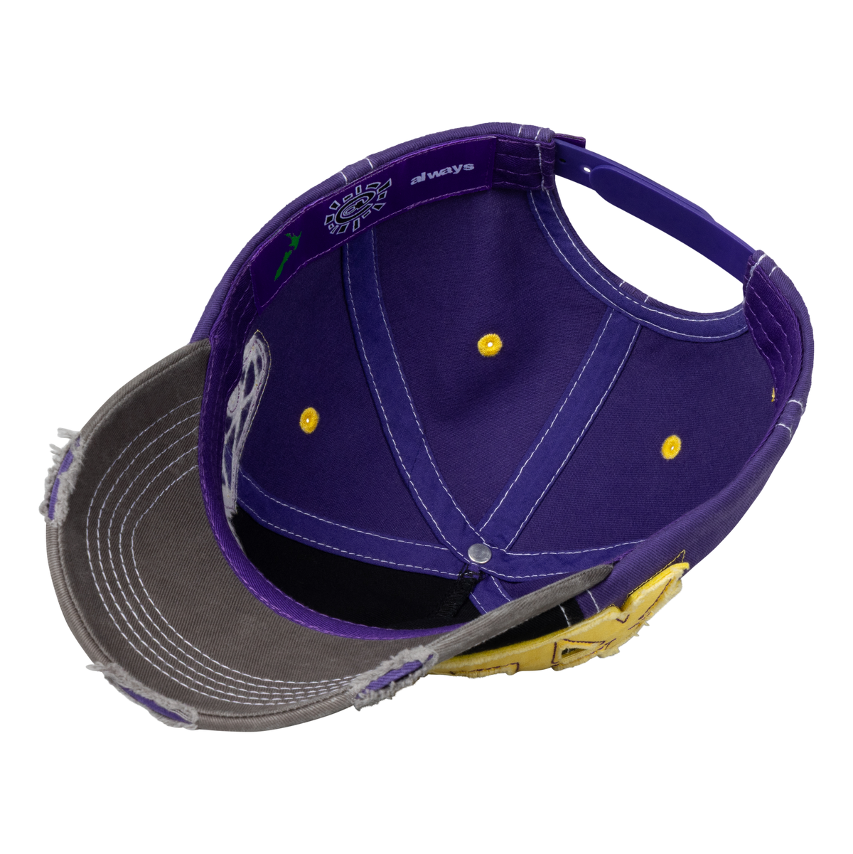 5 Panel Human Logo Cap - Purple / Black / Yellow