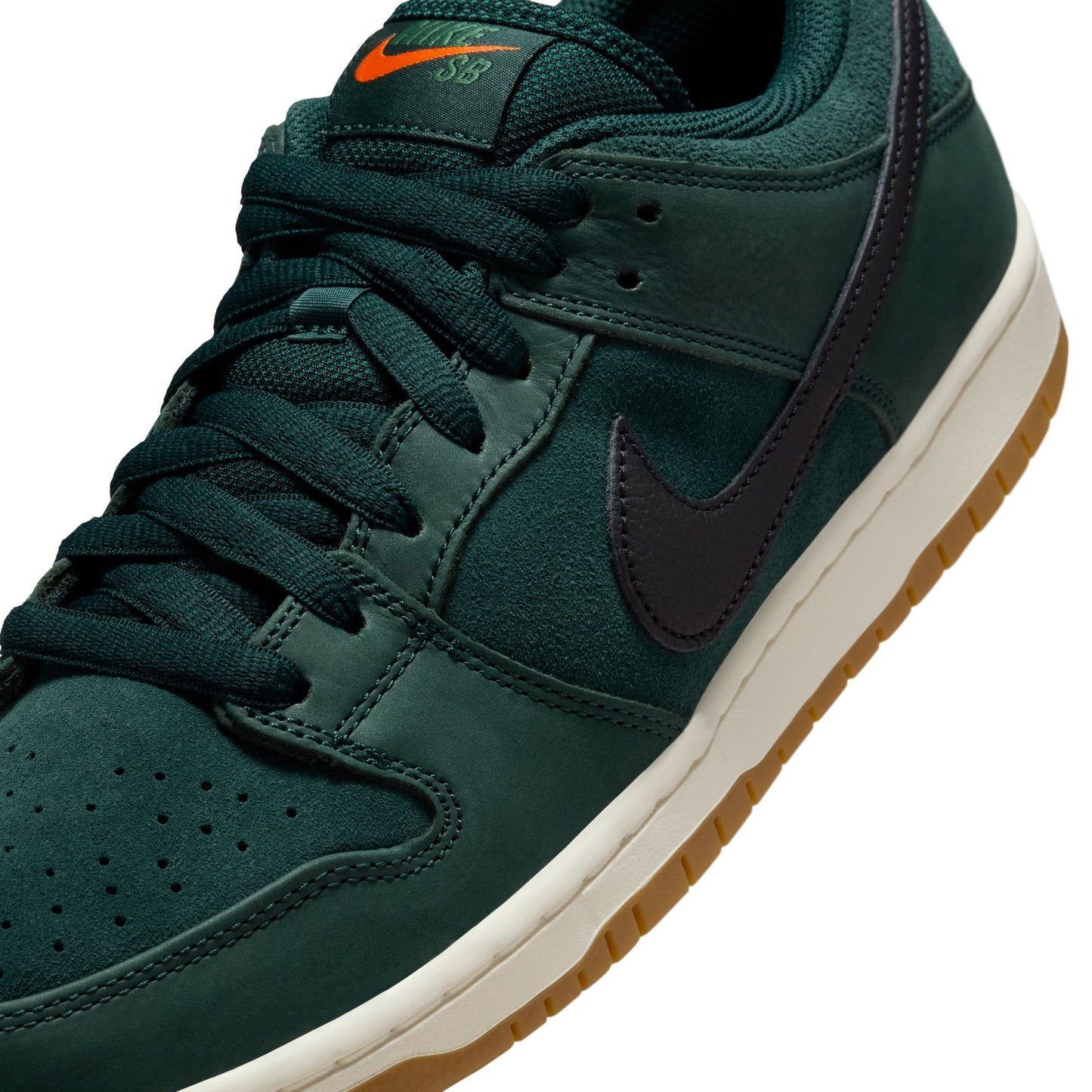 Dunk Low Pro - Deep Fir / Black Fir / Sail