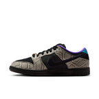 Dunk Low Pro Dashawn Jordan Copperhead