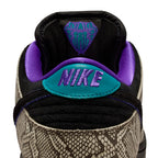 Dunk Low Pro Dashawn Jordan Copperhead