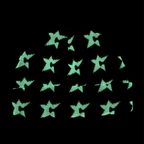 Glow In The Dark C-Star Beanie - Black