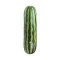Watermelon Deck