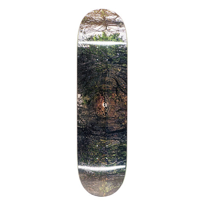 Spit Deck - Aaron Loreth