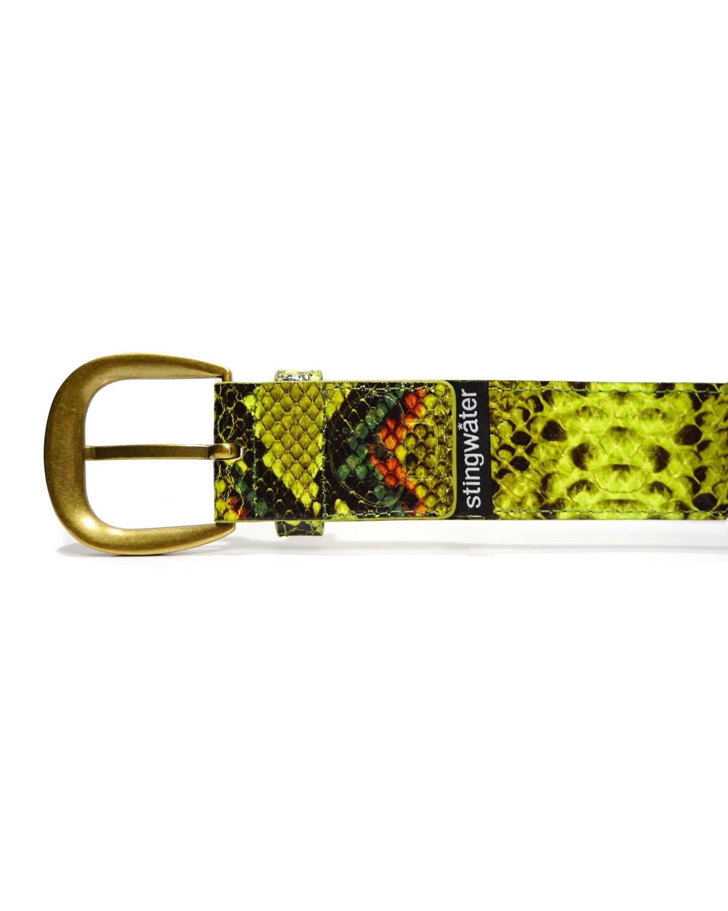 Vein Belt - Green Snake