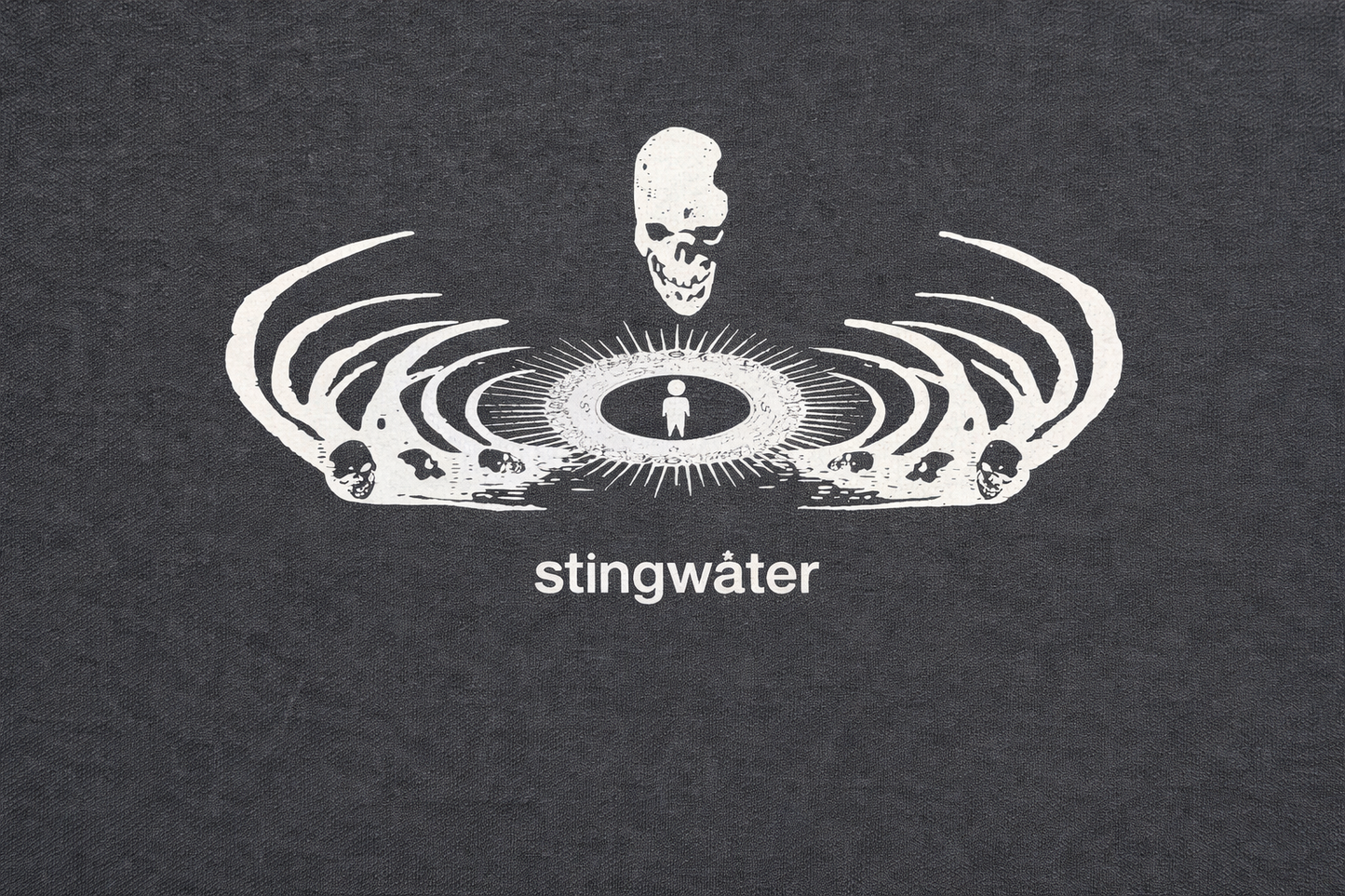 Stingwater logo with a skull and circular design on a dark background