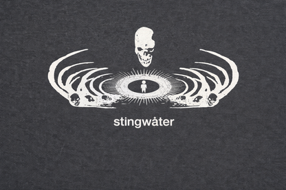 Stingwater logo with a skull and circular design on a dark background